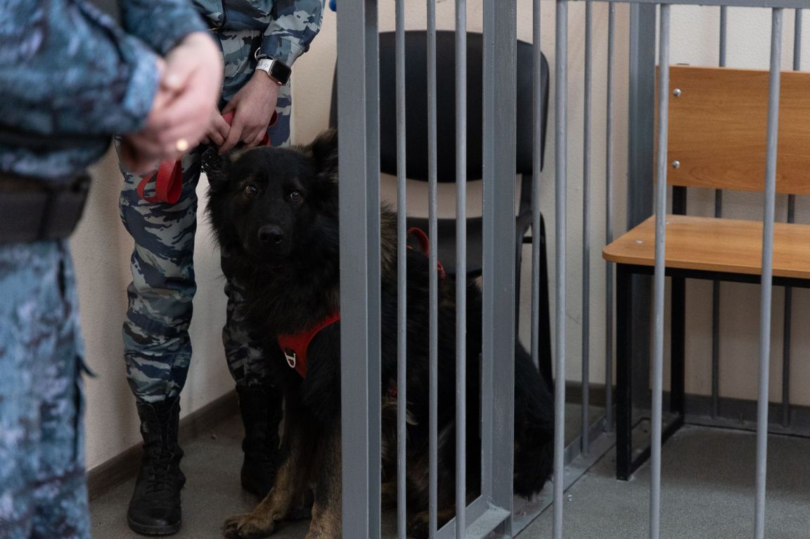 В Екатеринбурге полиция арестовала участников перестрелки на Советской |  20.06.2024 | Екатеринбург - БезФормата